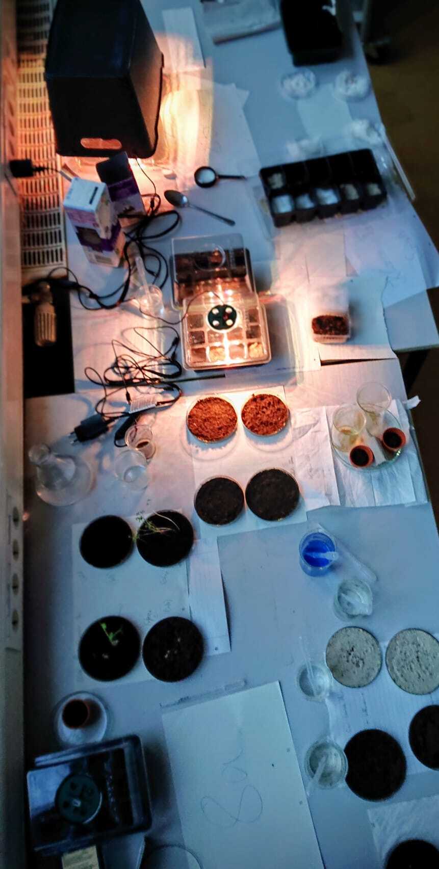 Experimente 8a und 8b