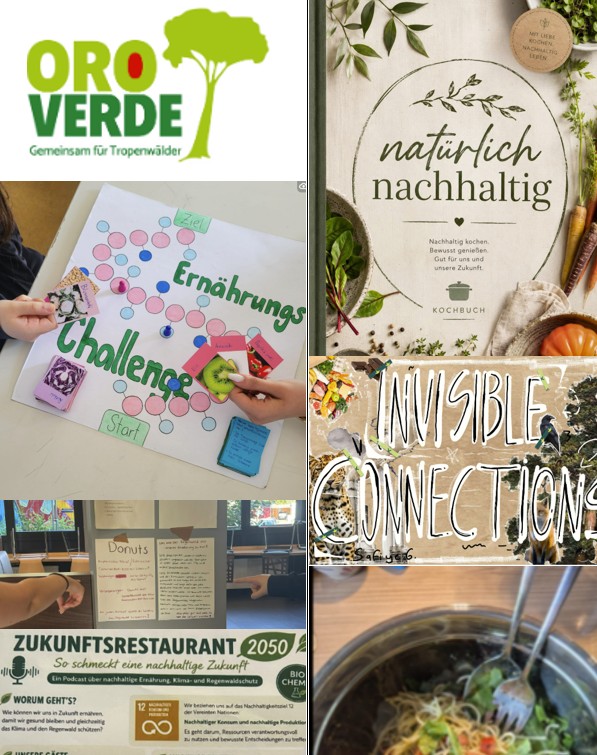 Collage der Projekte