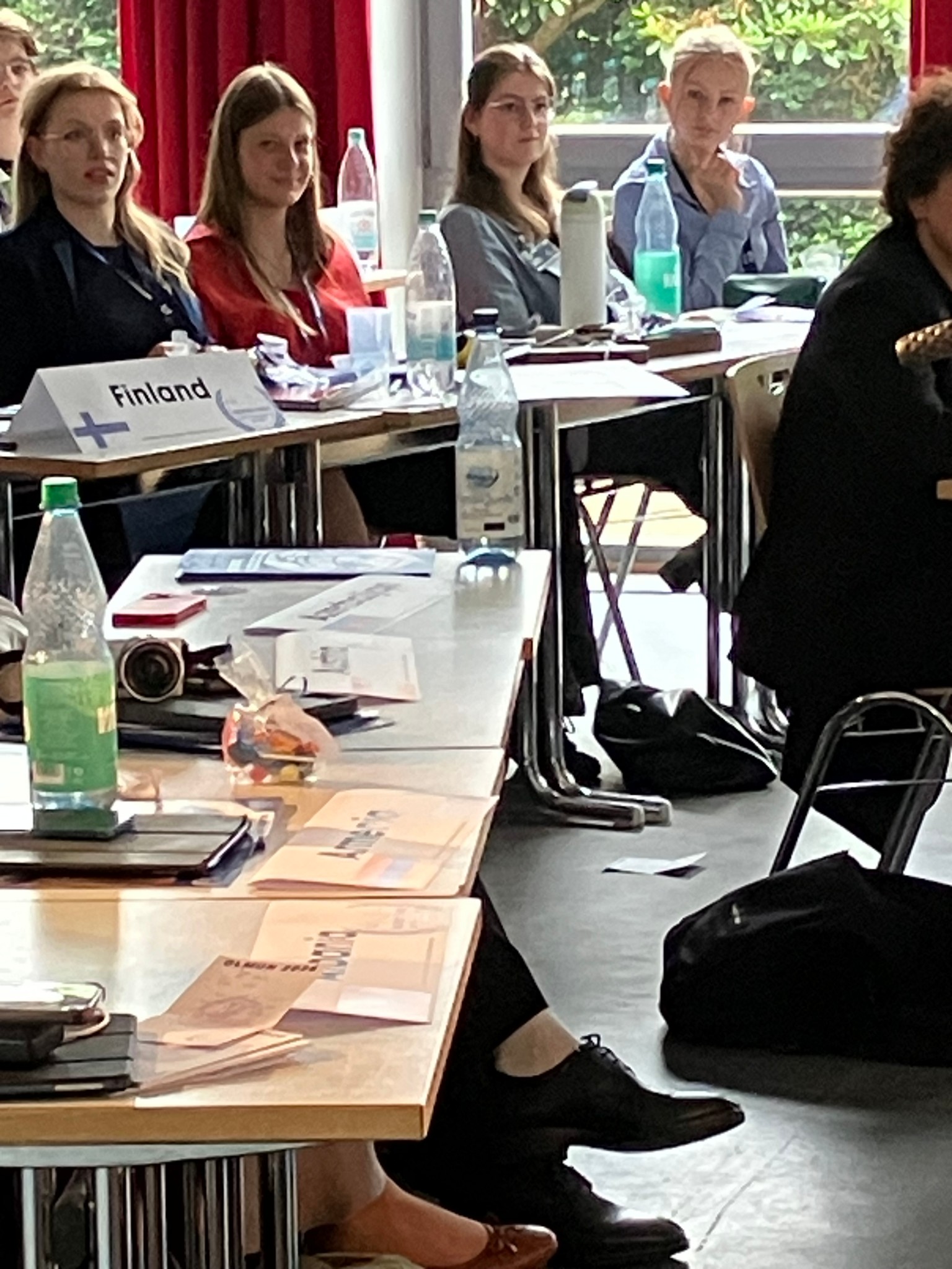 Estlands Vertreterin im European Council