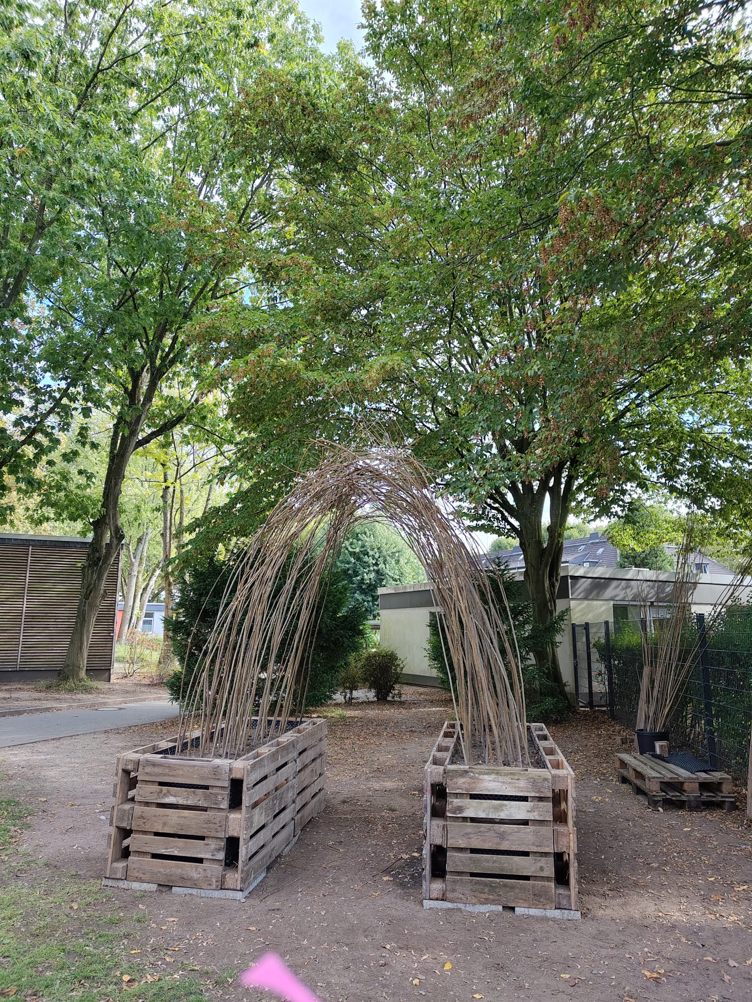 DIY „Weidentunnel“